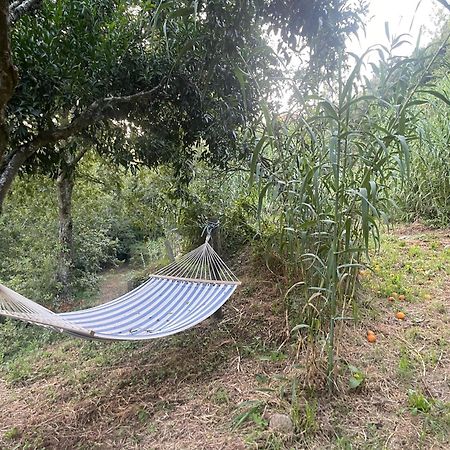 Nascente, Place In Nature Next To A Waterfall Loureiro  Екстер'єр фото