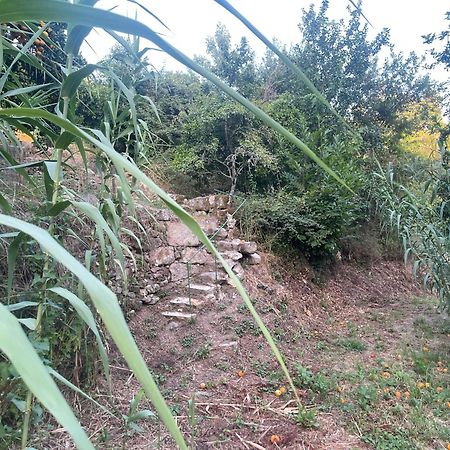 Nascente, Place In Nature Next To A Waterfall Loureiro  Екстер'єр фото