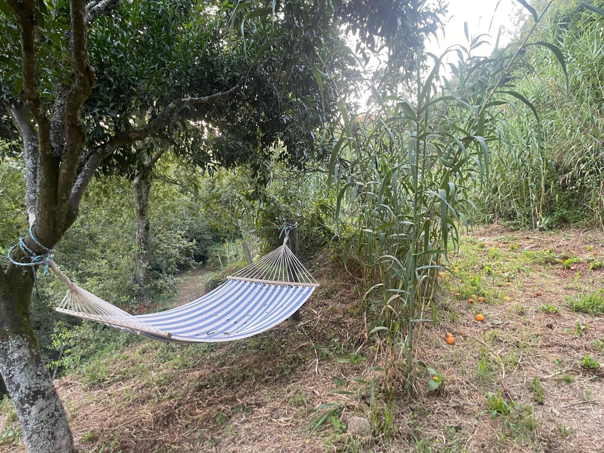 Nascente, Place In Nature Next To A Waterfall Loureiro  Екстер'єр фото