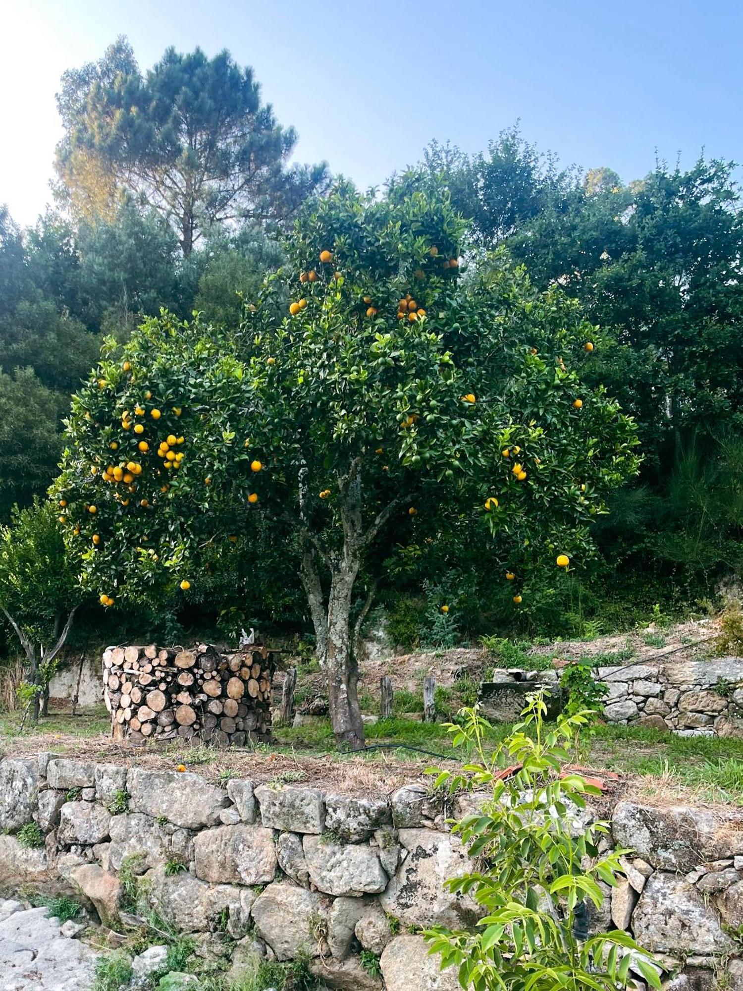 Nascente, Place In Nature Next To A Waterfall Loureiro  Екстер'єр фото