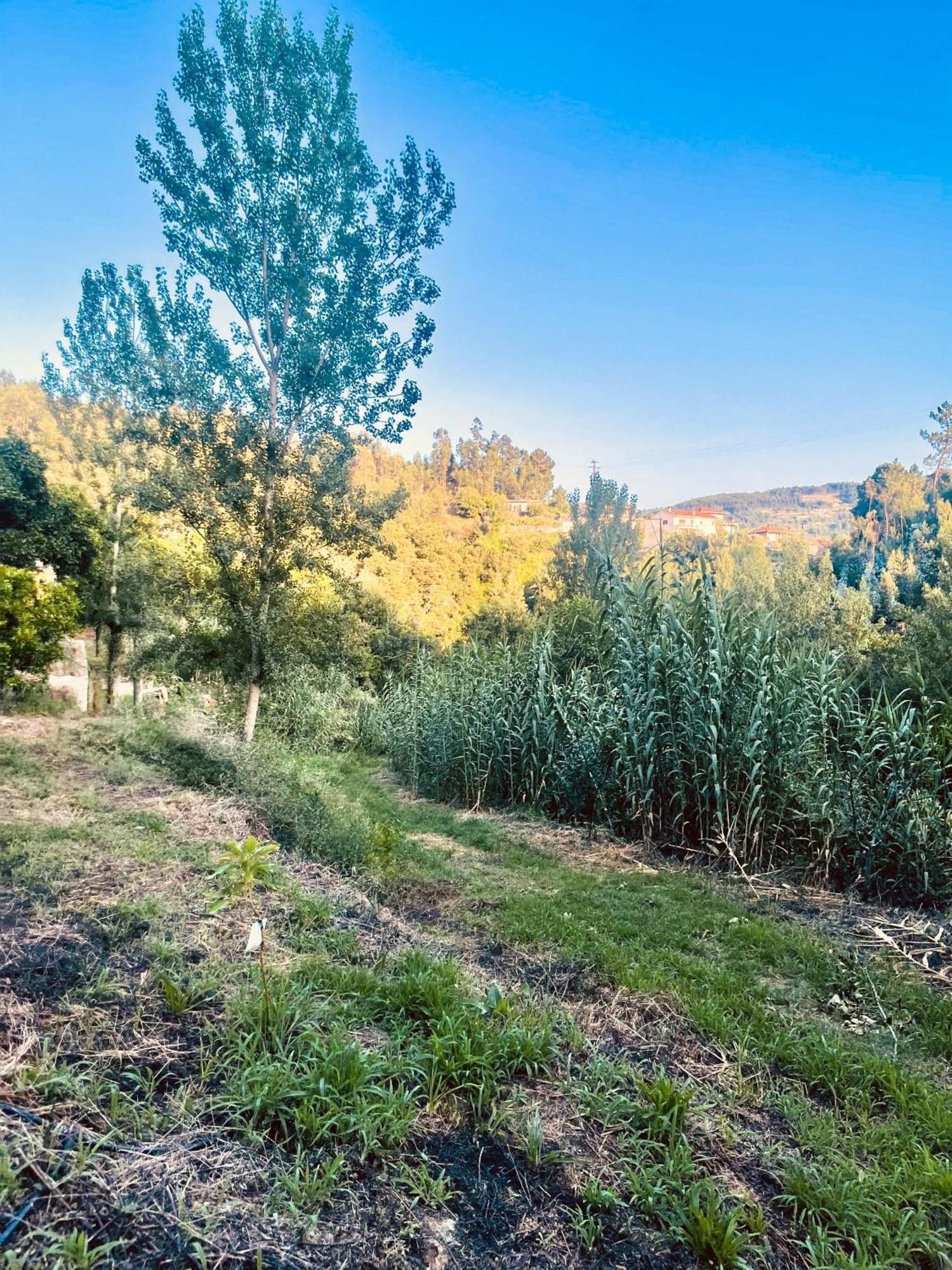 Nascente, Place In Nature Next To A Waterfall Loureiro  Екстер'єр фото