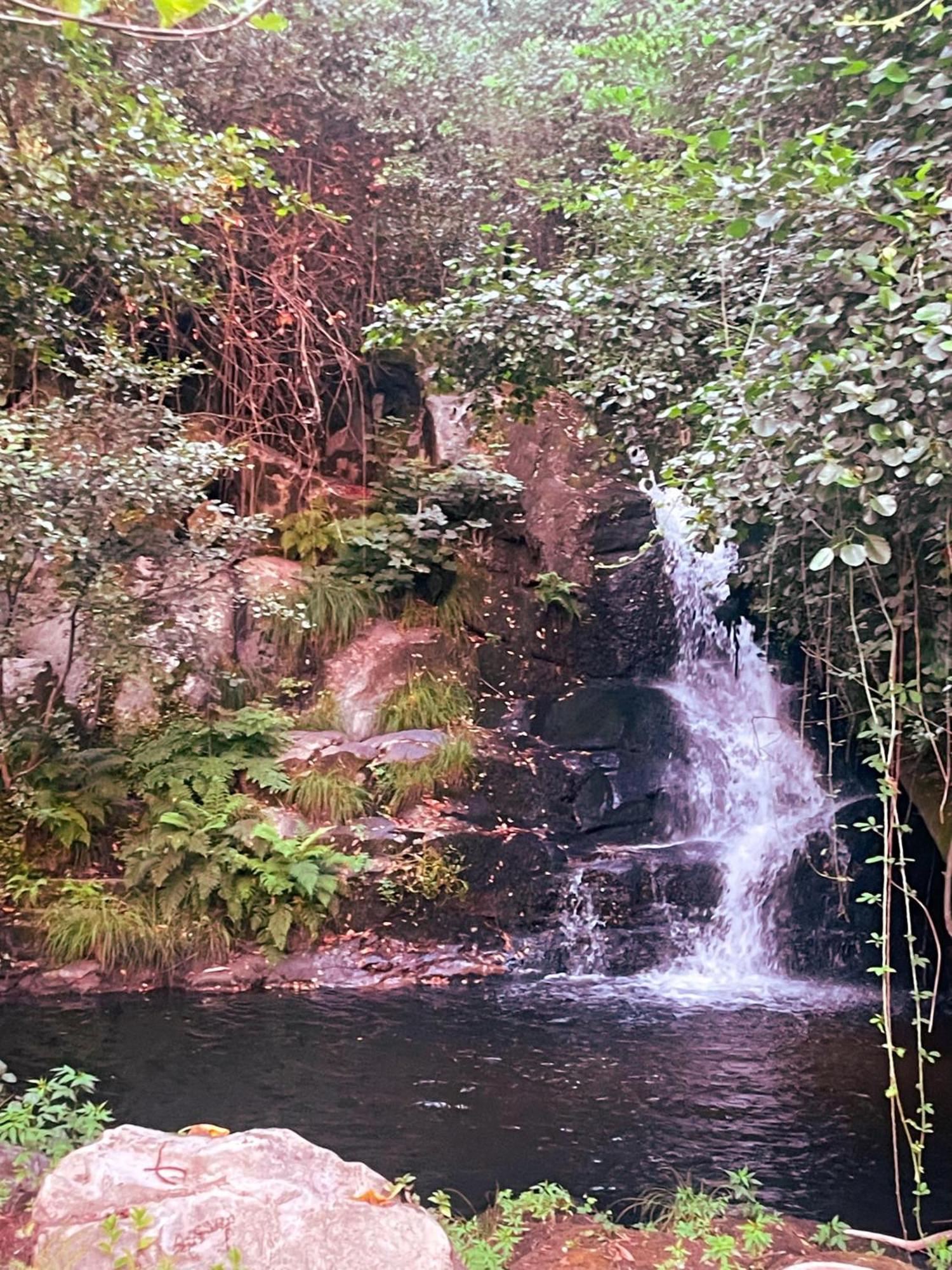 Nascente, Place In Nature Next To A Waterfall Loureiro  Екстер'єр фото